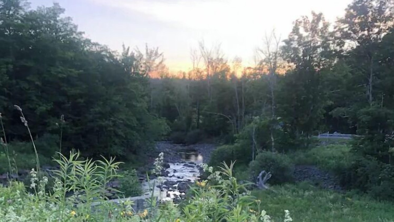 Photo of Outdoor in Palenville