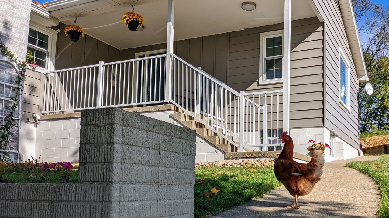 Photo of Outdoor in Millersburg
