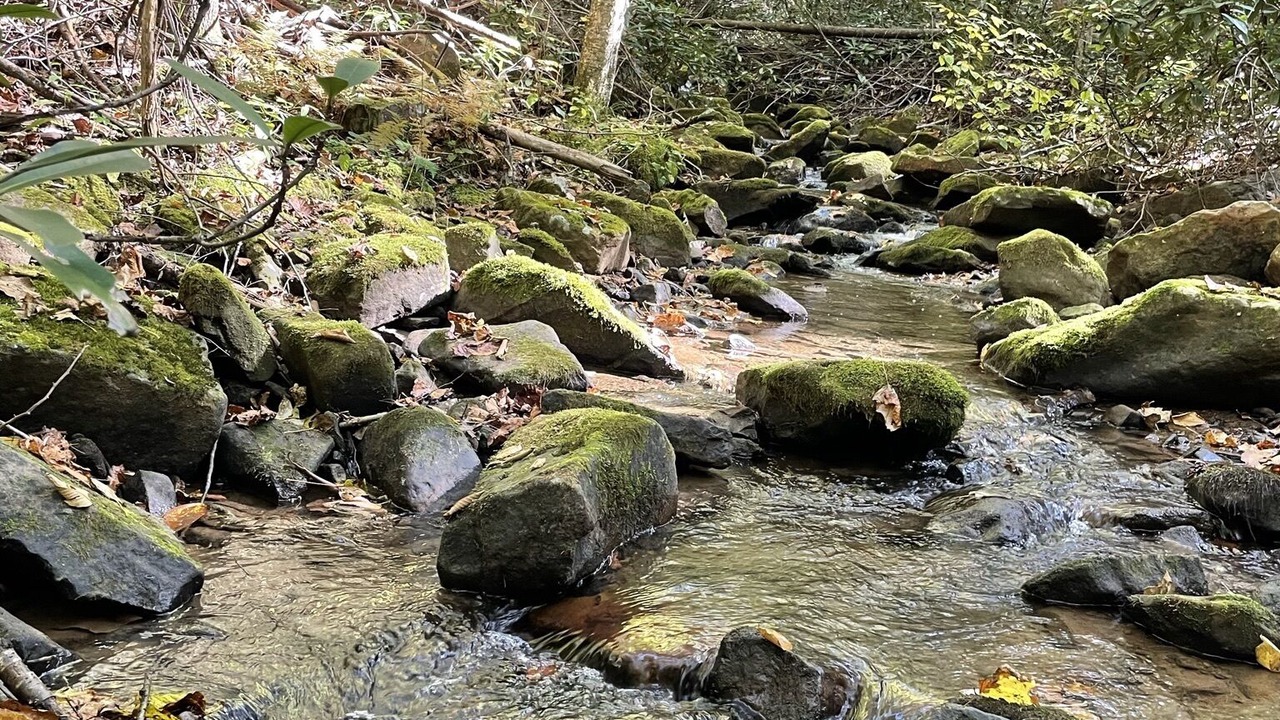 Photo of Others in Confluence