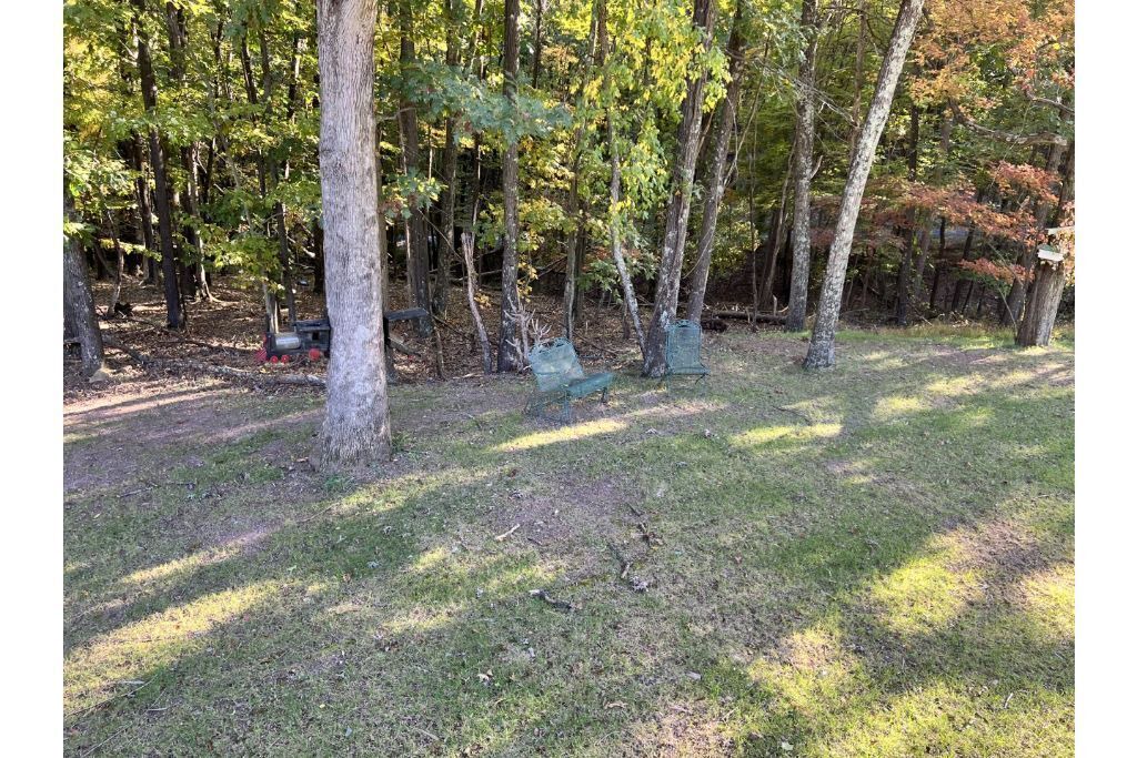 Photo of Outdoor in Kirby