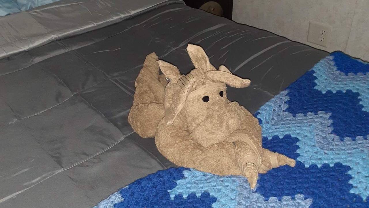 Photo of Bedroom in Force