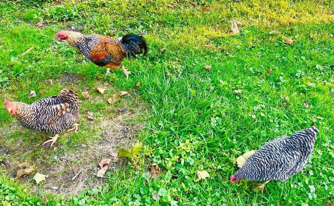 Photo of Others in Spring Church