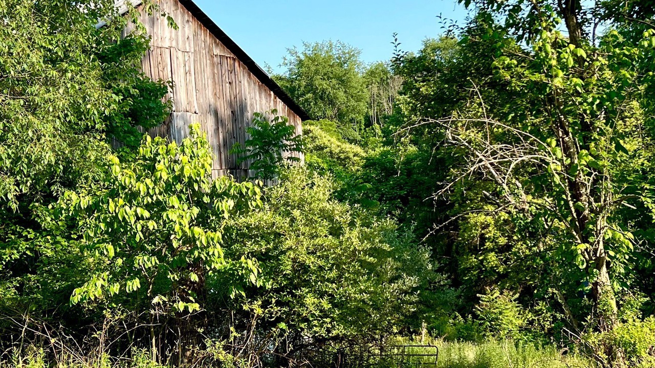Photo of Others in Spring Church