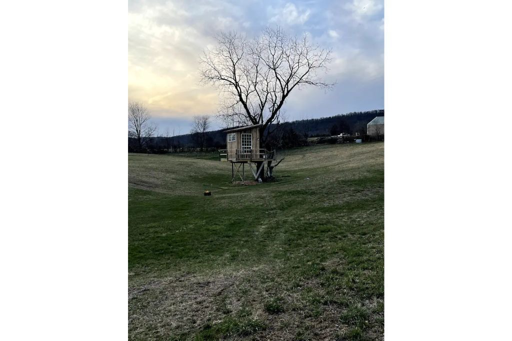 Photo of Outdoor in Pine Grove