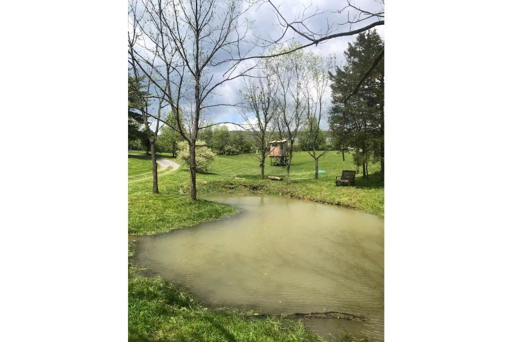 Photo of Outdoor in Pine Grove