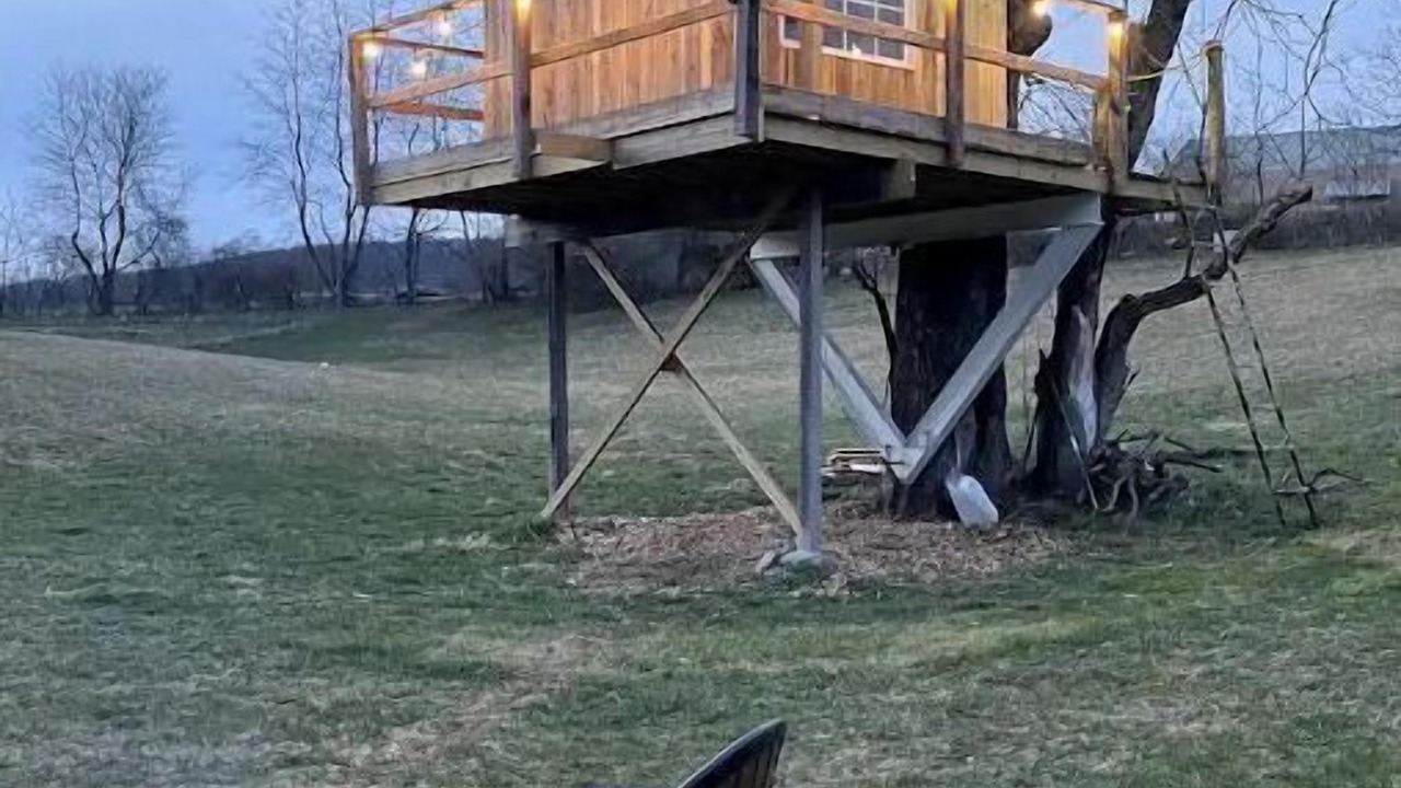 Photo of Outdoor in Pine Grove