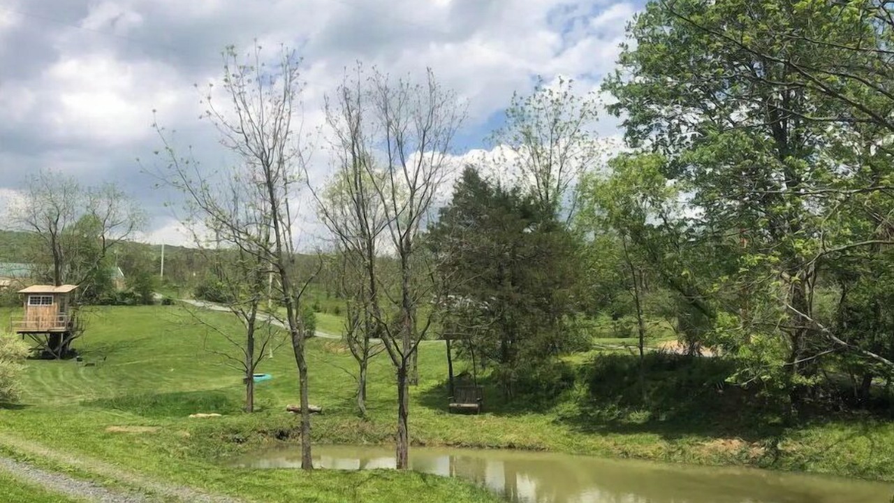 Photo of Outdoor in Pine Grove