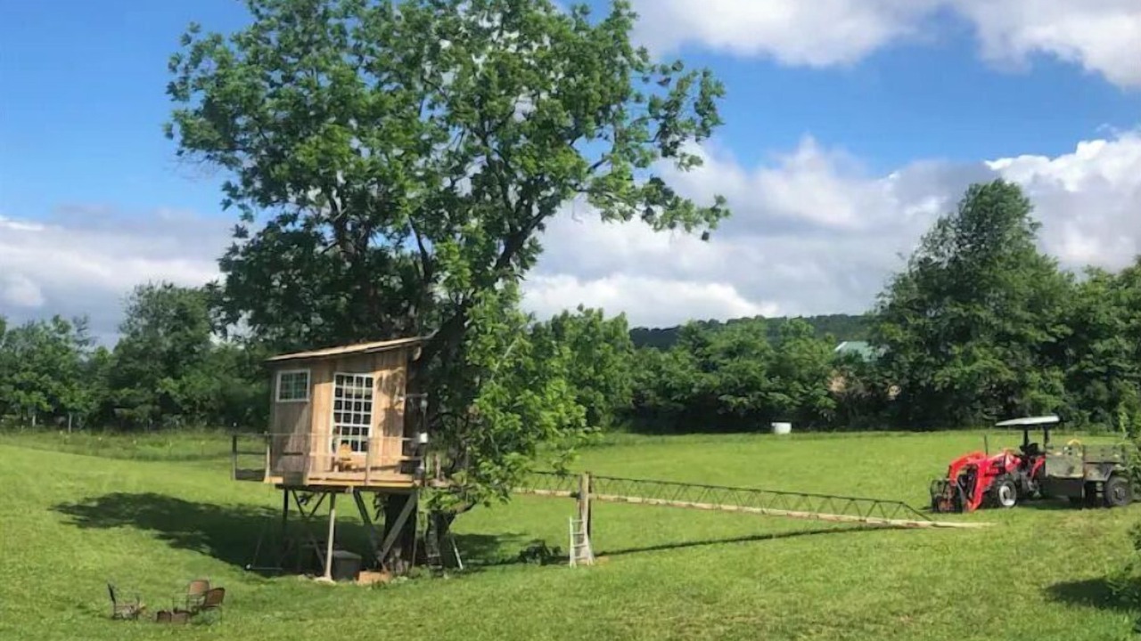 Photo of Outdoor in Pine Grove