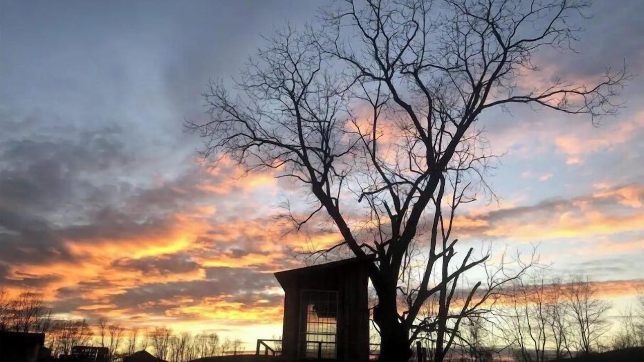 Photo of Outdoor in Pine Grove