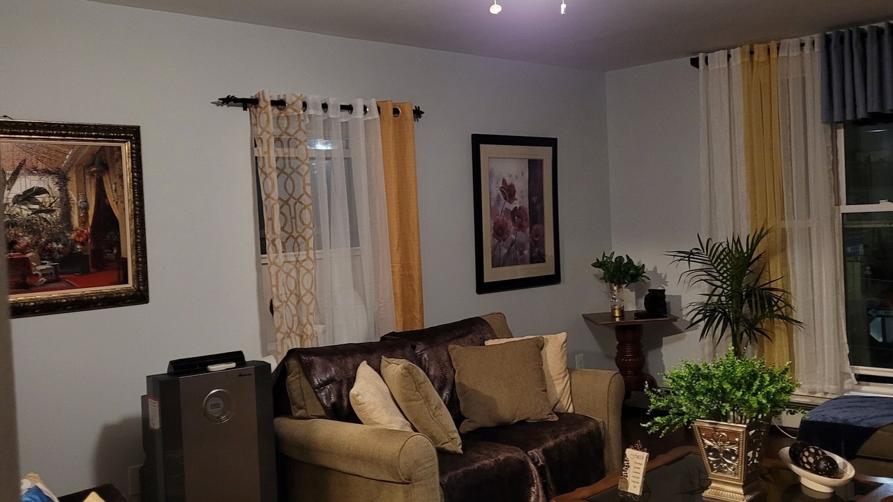 Photo of Livingroom in East New York