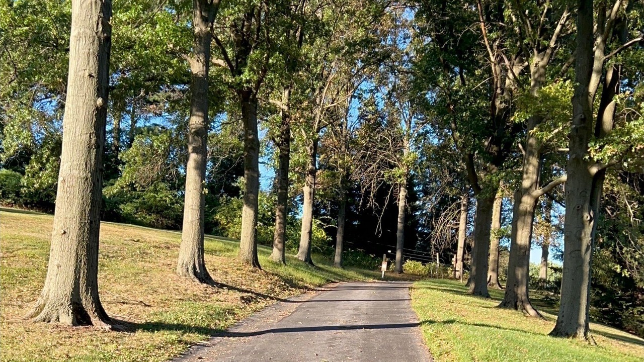 Photo of Outdoor in Sassamansville