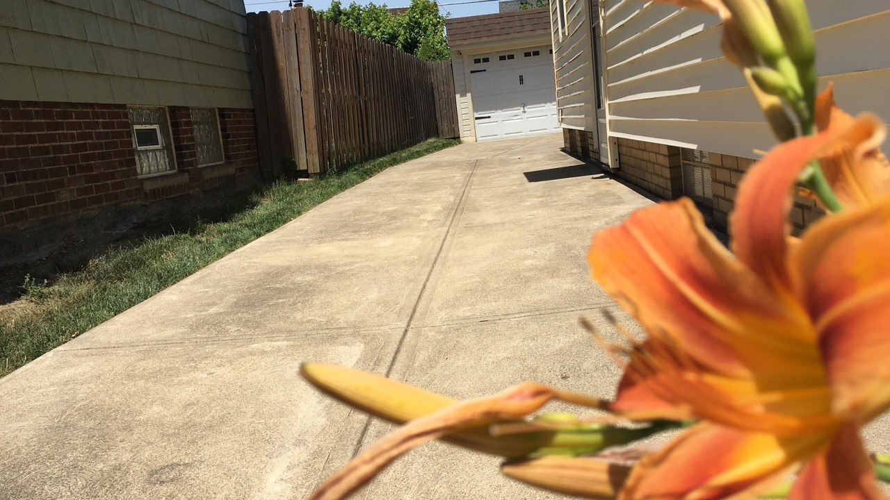 Photo of Outdoor in Parma