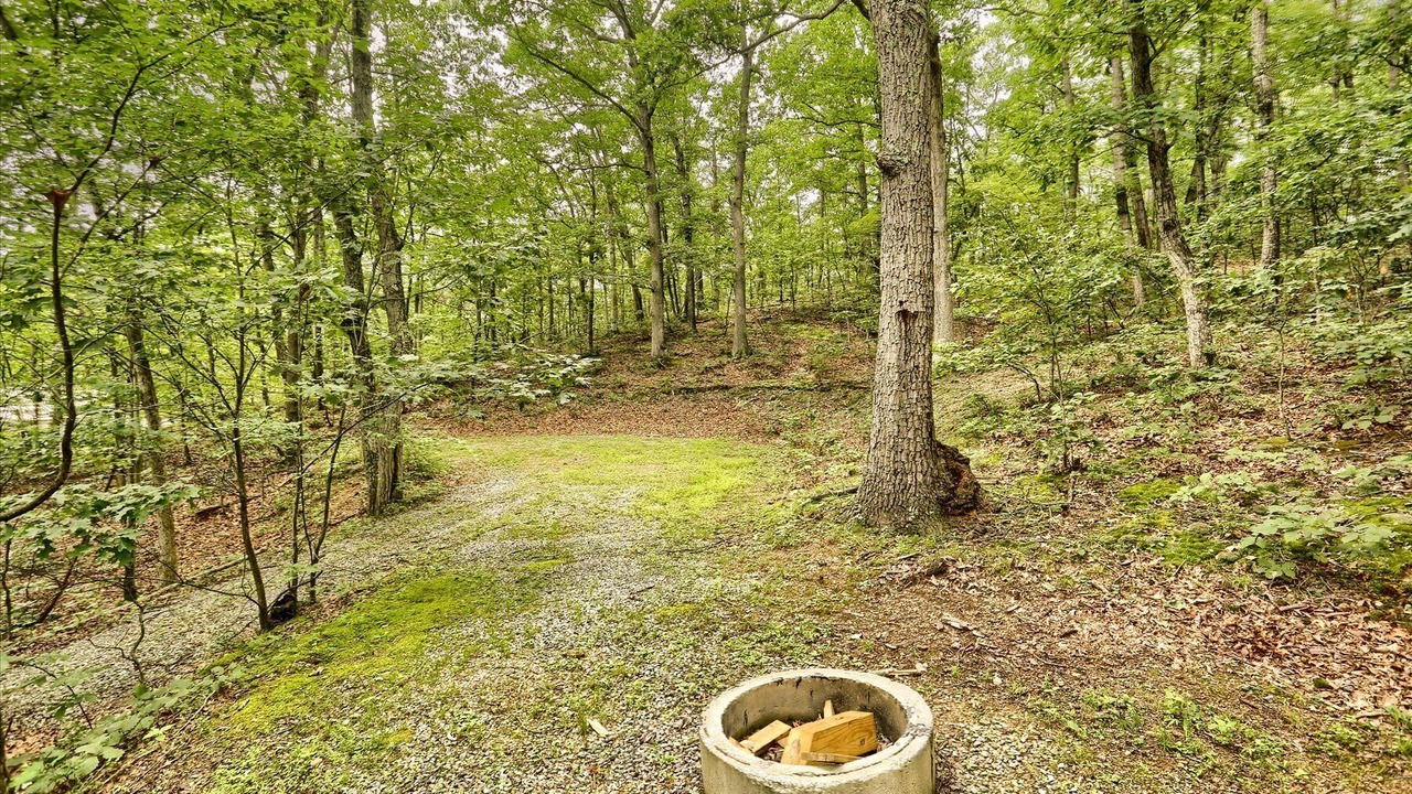 Photo of Others in James Creek