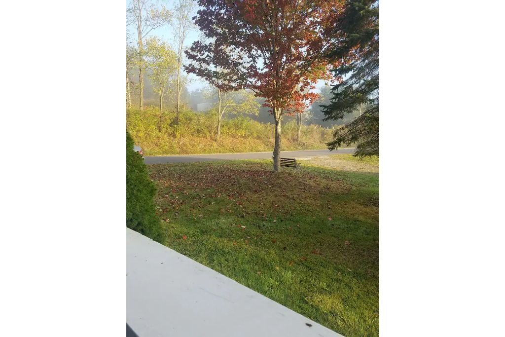 Photo of Outdoor in Shinglehouse