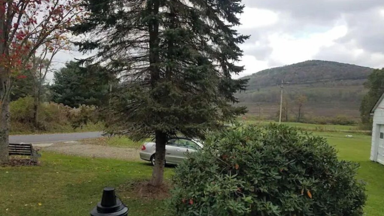Photo of Outdoor in Shinglehouse