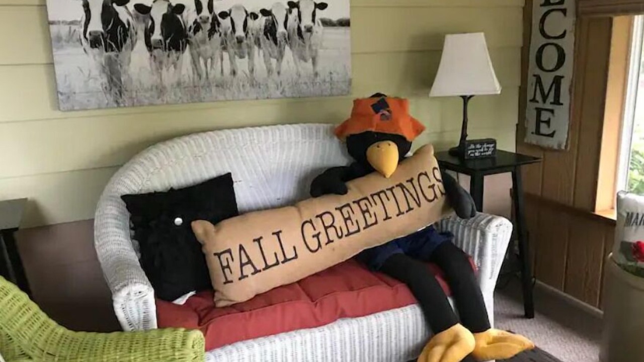 Photo of Others in Erie