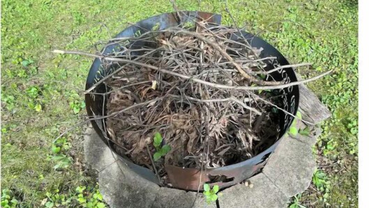Photo of Outdoor in Pleasant Gap