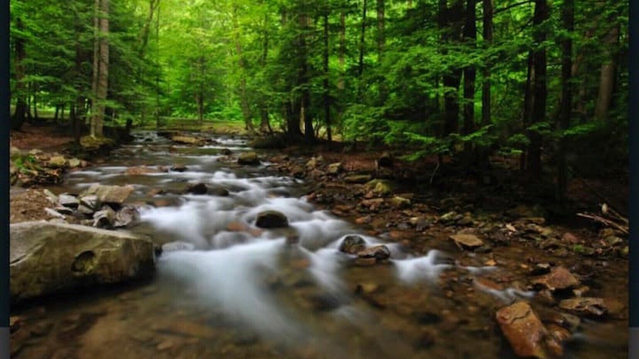 Photo of Outdoor in Ligonier