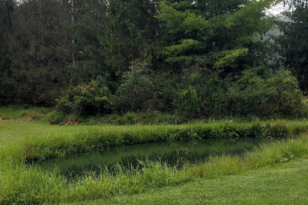 Photo of Outdoor in Brookville
