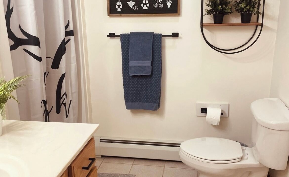 Photo of Bathroom in Burnsville