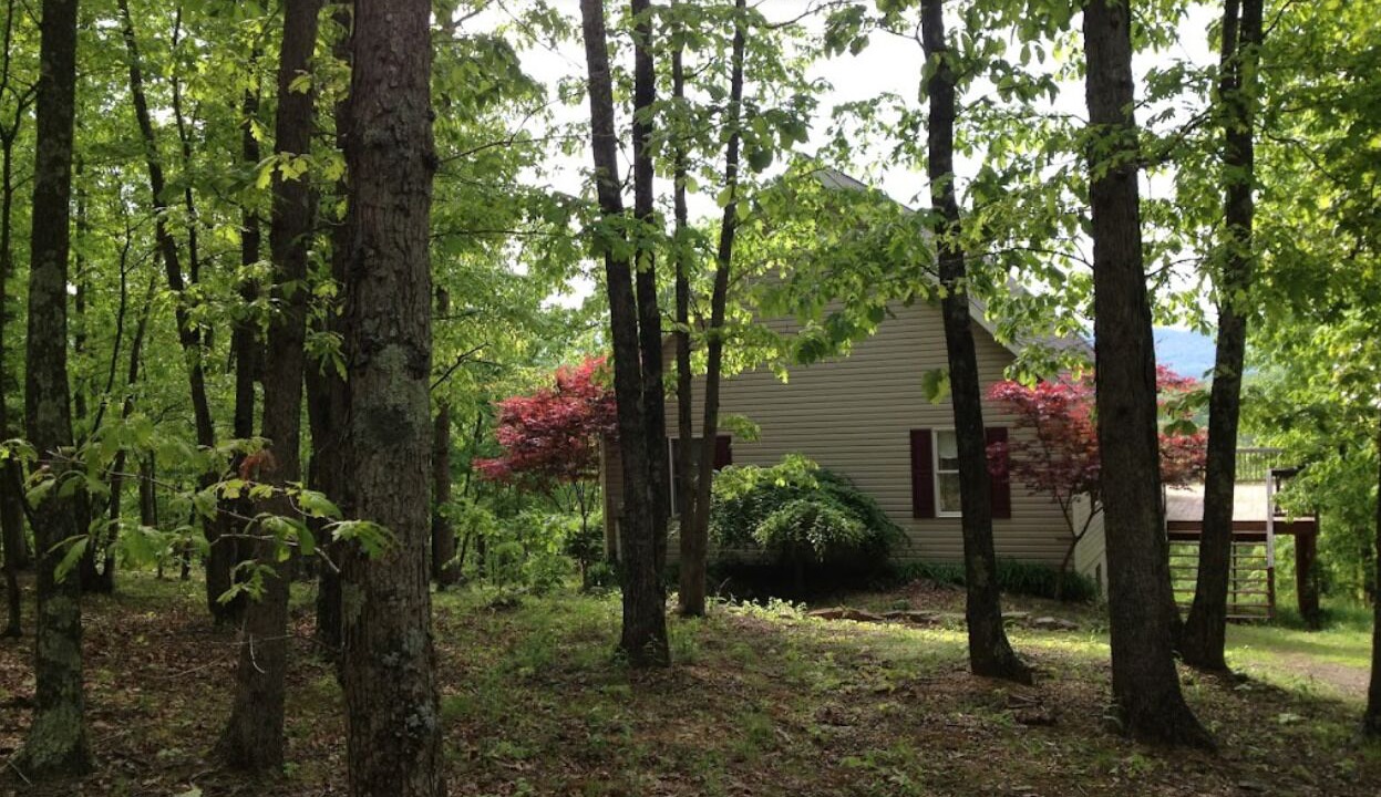 Photo of Others in Great Cacapon