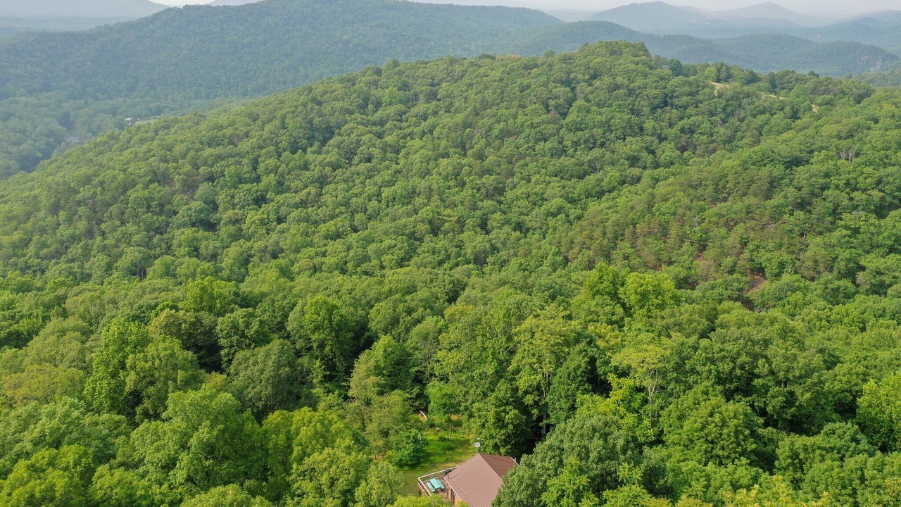 Photo of Others in Great Cacapon