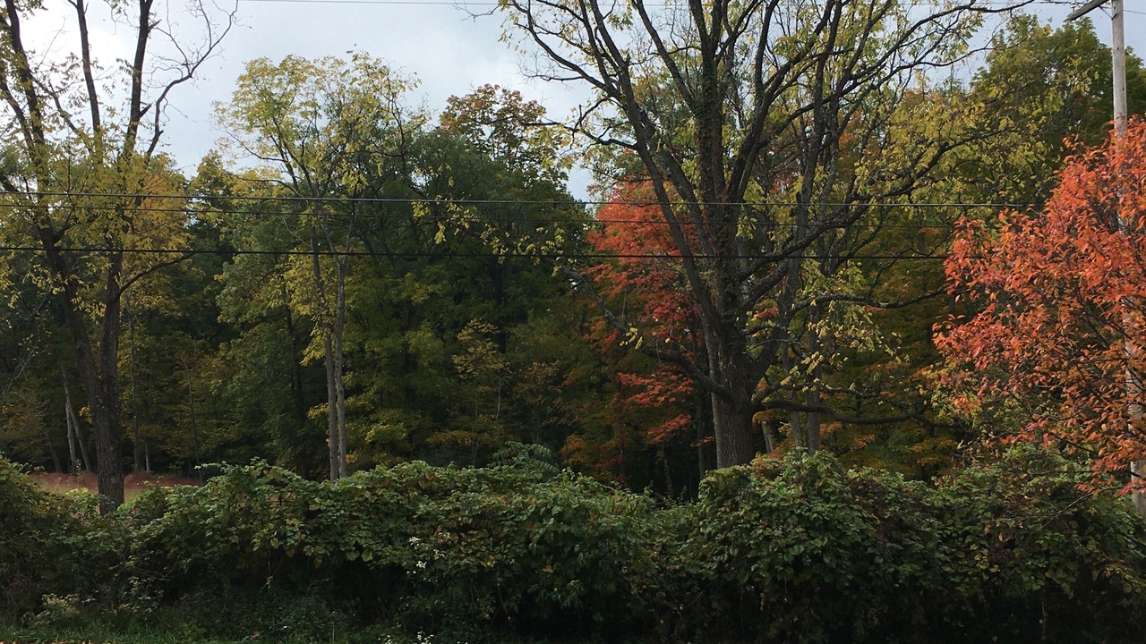 Photo of Outdoor in Boalsburg