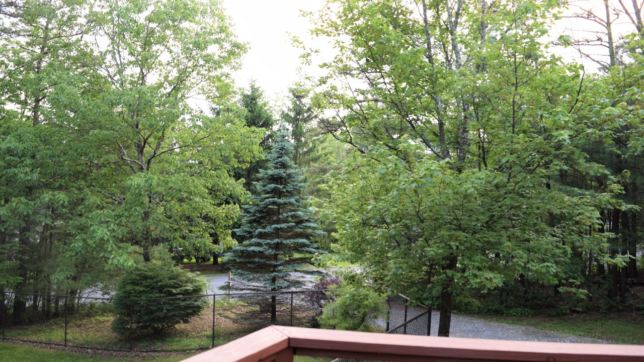 Photo of Outdoor in Stroudsburg