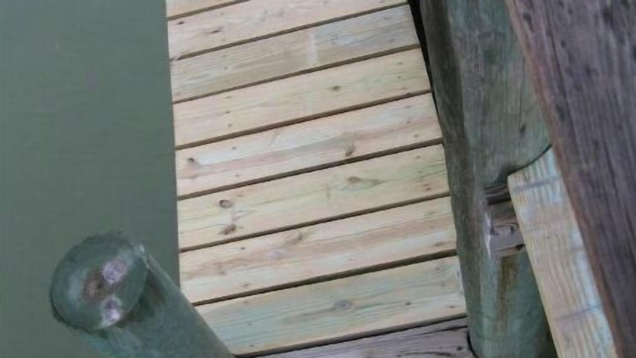 Photo of Outdoor in Deltaville