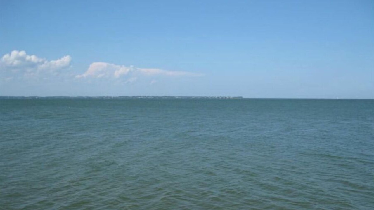 Photo of Others in Deltaville
