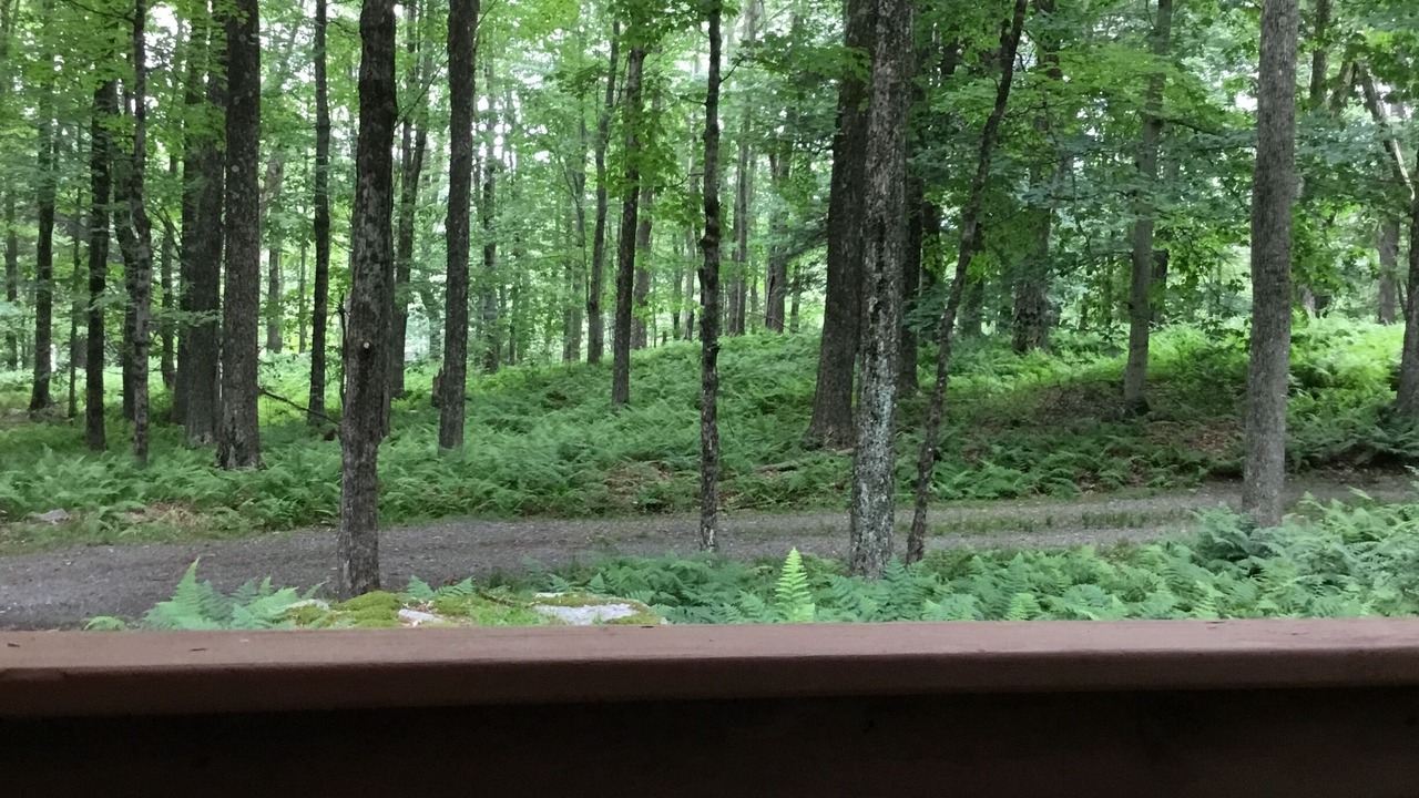 Photo of Outdoor in Greentown