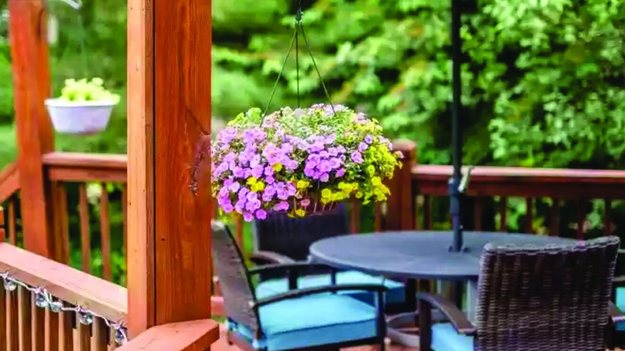 Photo of Outdoor in Harrisonburg
