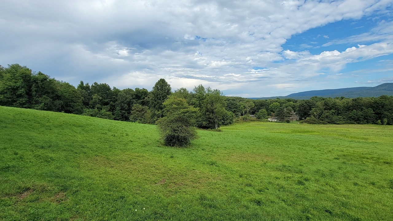 Photo of Others in Ohiopyle