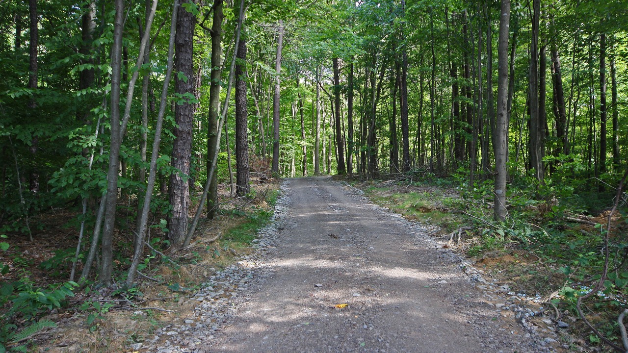 Photo of Outdoor in South Bloomingville