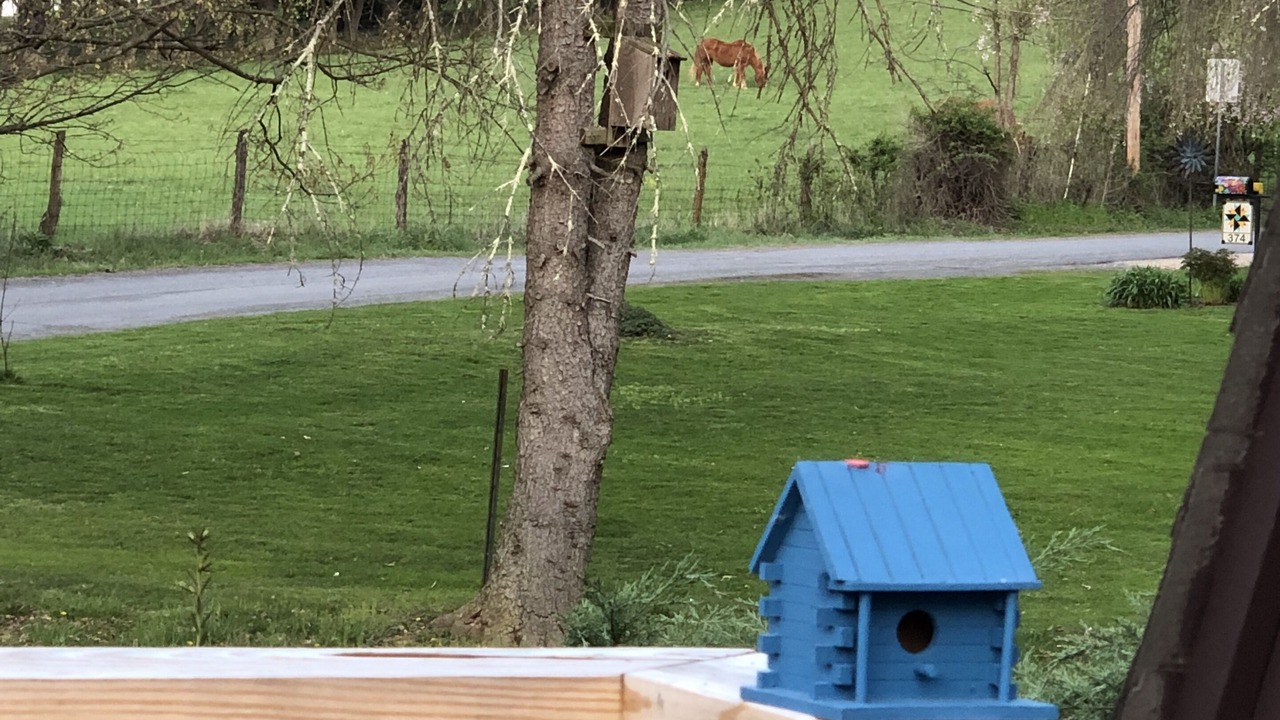 Photo of Outdoor in Fairlea