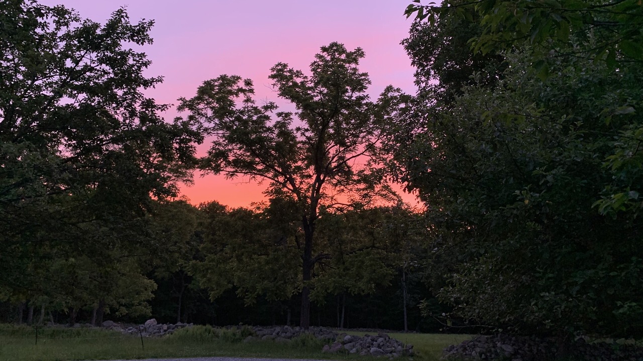 Photo of Outdoor in Montague
