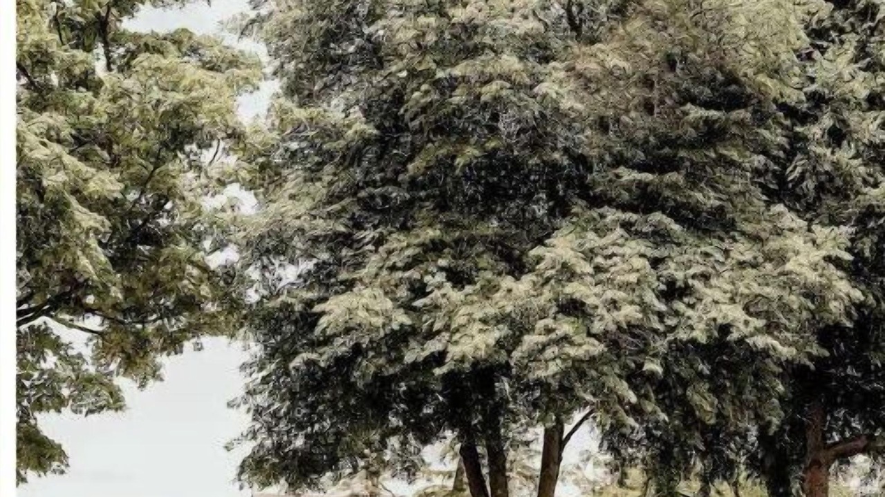 Photo of Outdoor in Sugarcreek