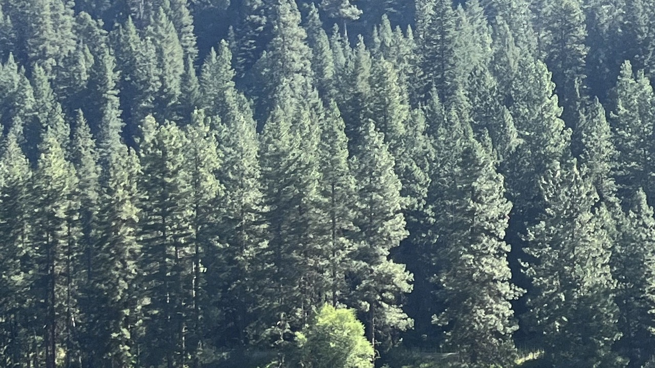 Photo of Outdoor in Cascade