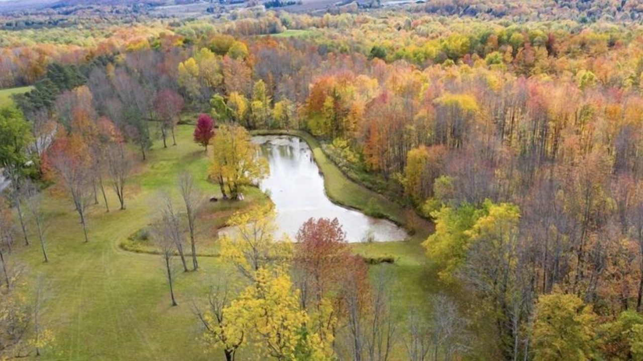 Photo of Outdoor in Clymer
