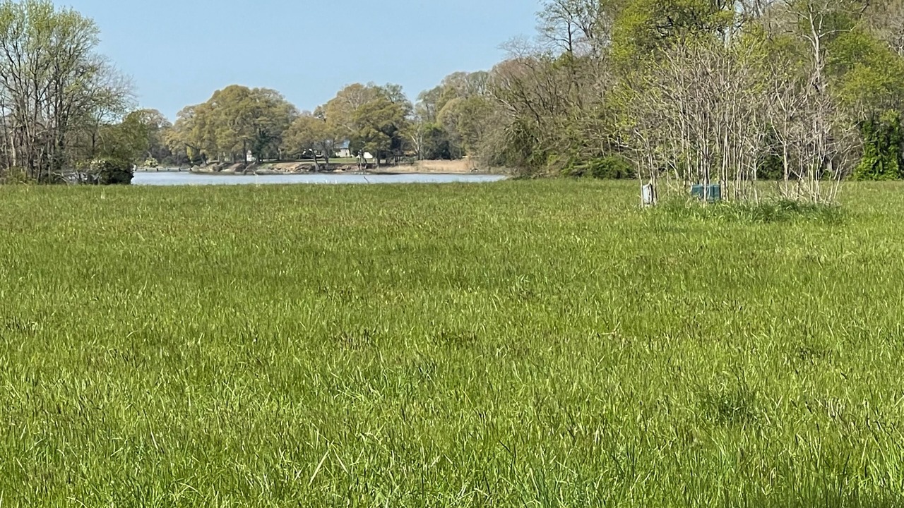Photo of Outdoor in Chestertown