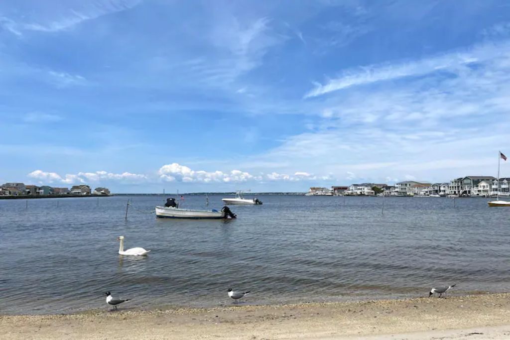 Photo of Others in Ortley Beach
