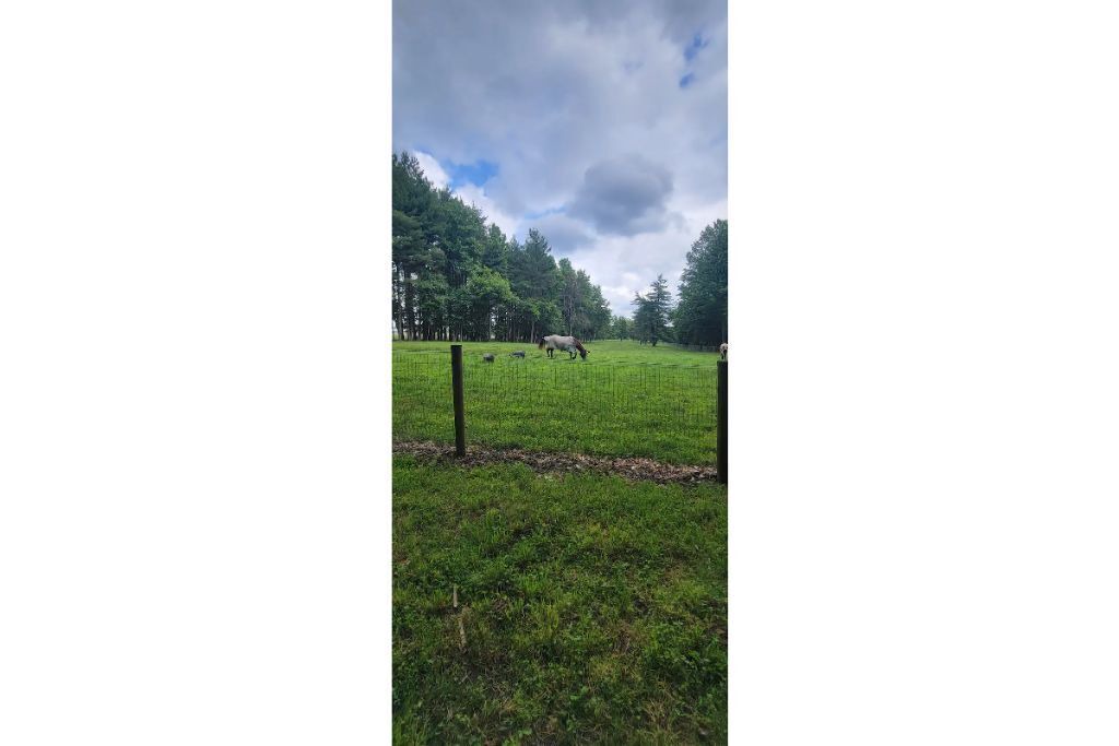 Photo of Outdoor in Elkton