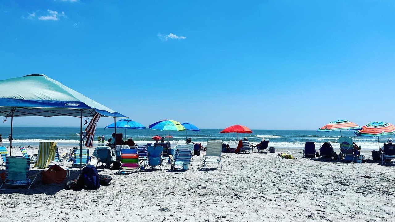 Photo of Others in Avalon