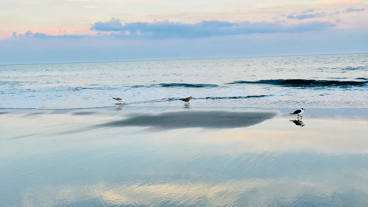 Photo of Others in Avalon