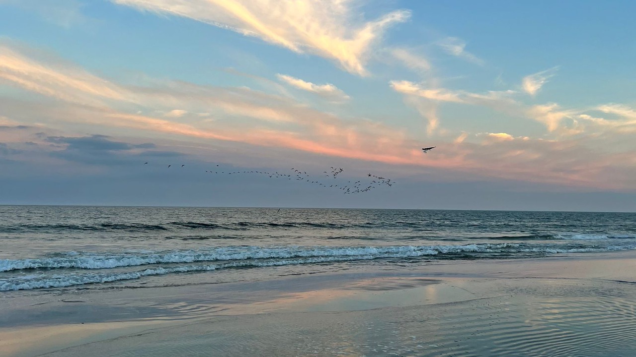 Photo of Others in Avalon