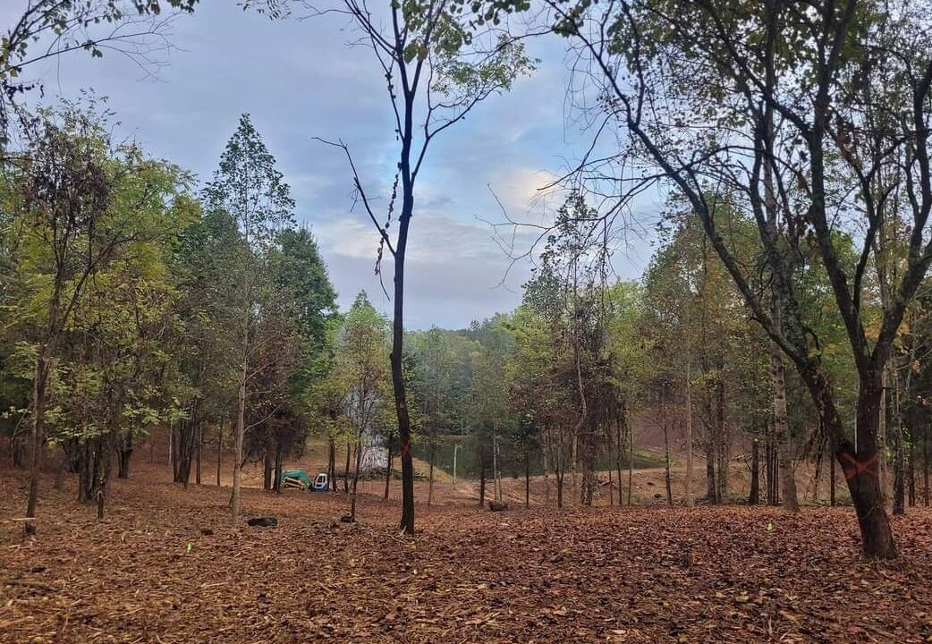 Photo of Outdoor in Jamestown