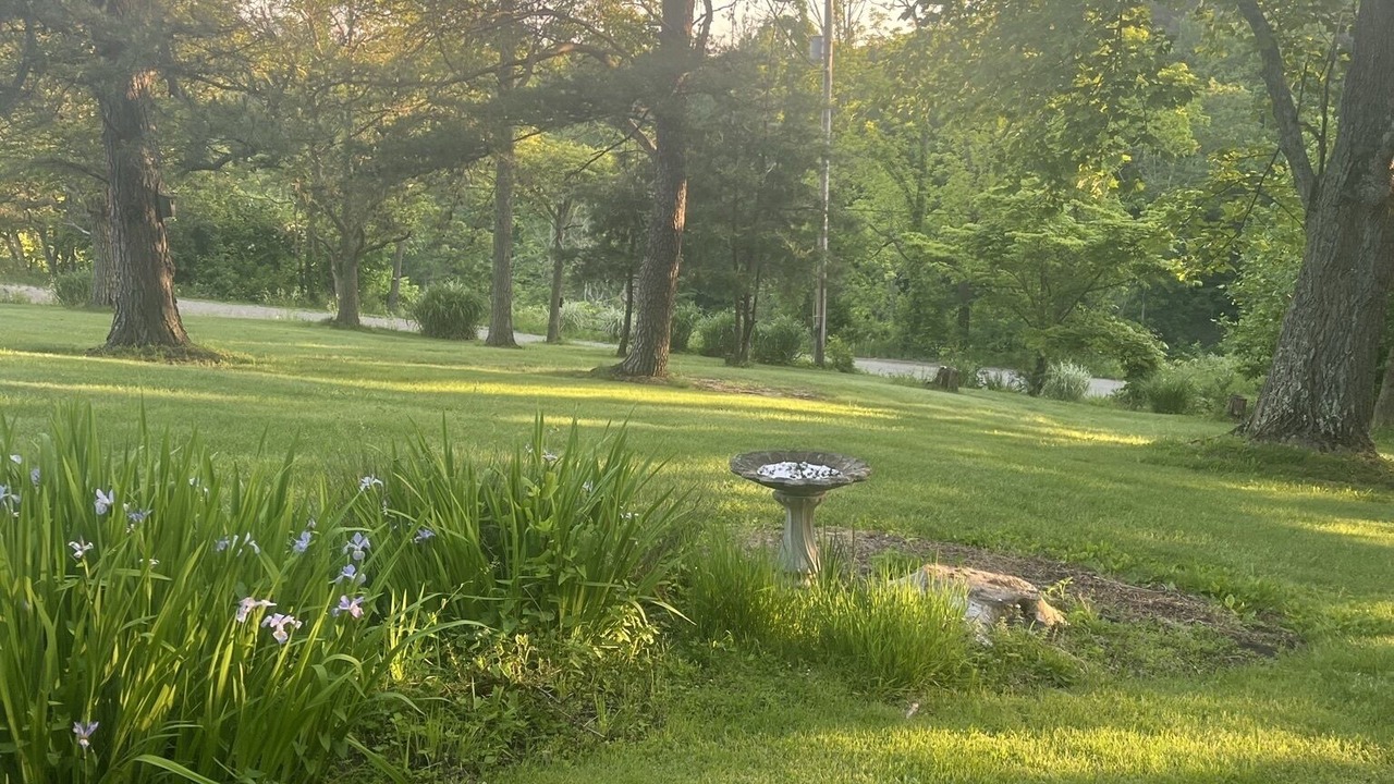 Photo of Outdoor in Rockbridge