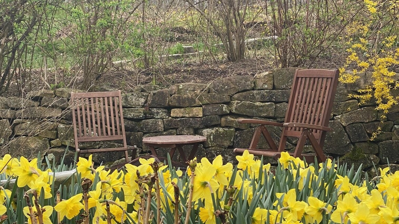 Photo of Outdoor in Williamsport