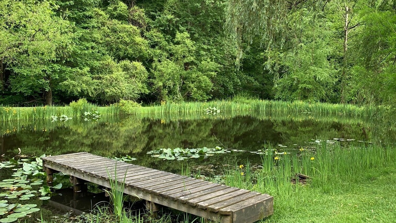 Photo of Outdoor in Logan