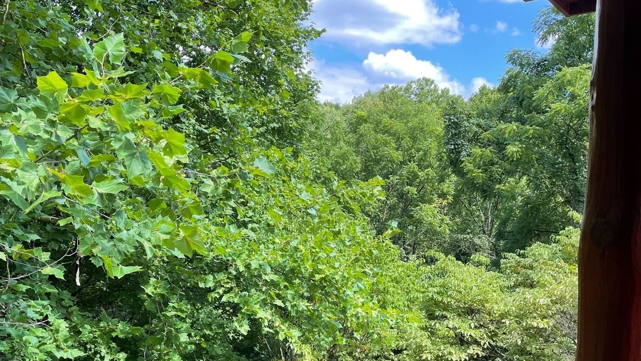 Photo of Outdoor in Logan